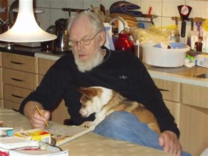 Norsk lundehund Ulfrigga Lundes Edda (3.11.01 - 19.7.12) - Hjælper "far" med kryds og tværs billede 6