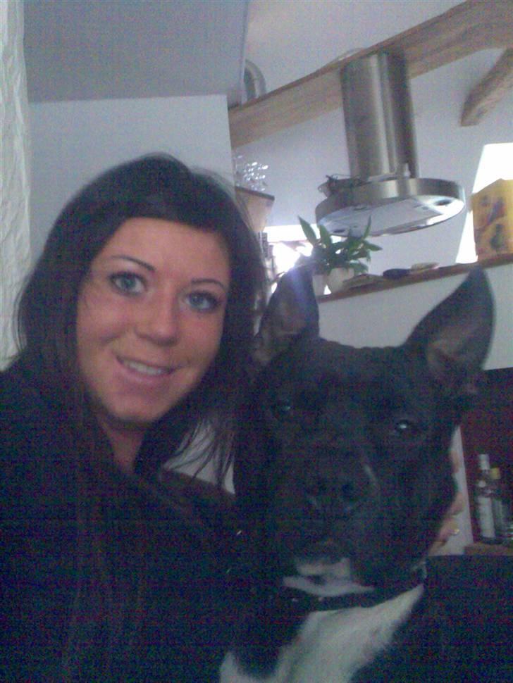 Amerikansk staffordshire terrier Kenzo - min mor og jeg billede 11