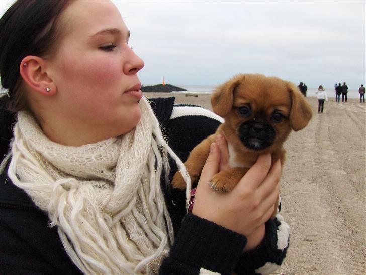 Blanding af racer Bonnie - mor og mig på stranden billede 14