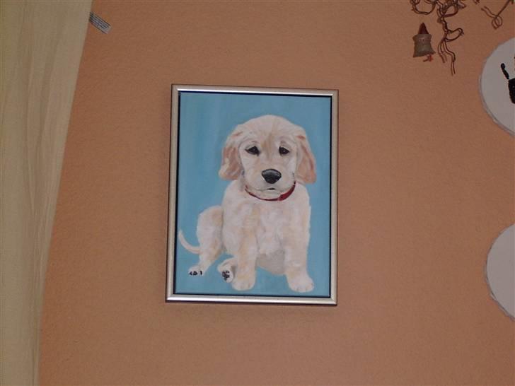 Golden retriever * Molly * - Her er så et lille maleri af Molly billede 7