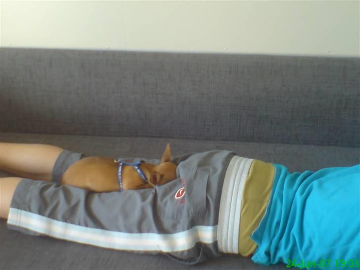 Blanding af racer |Chi/DP| Lasse prinsen - her er jeg så faldet i søvn på mors fætters, numse ^^ men han vidste det ikk for han sov osse :D  billede 11