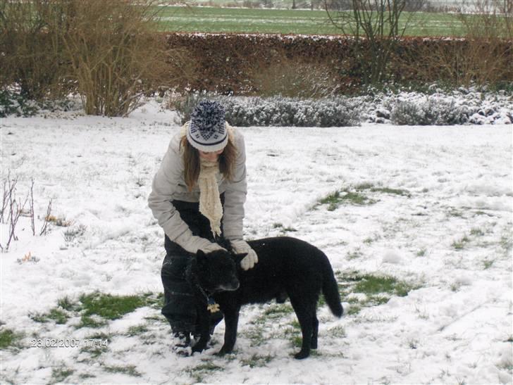 Sort spids Blackie (død) :'( billede 4