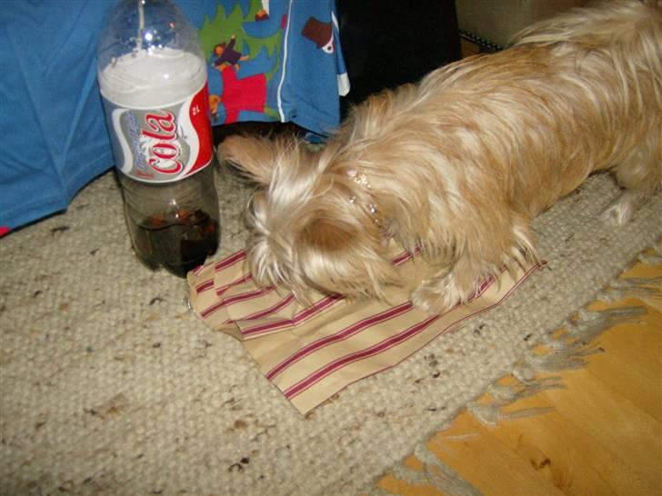 Blanding af racer Tulle - jahhhh julegaver hi hi billede 10