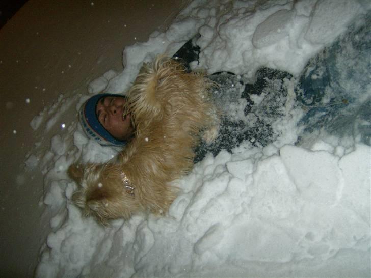 Blanding af racer Tulle - jeg så ikke lige at min far lå i sneen, men det var sjovt at lege i sne selvom at der var meget hi hi billede 11