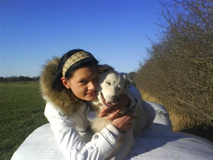 Blanding af racer soffie/ soffe - . Jeeg elskeer dig soffe<33 billede 7