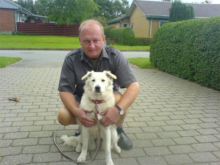 Blanding af racer soffie/ soffe - miin far oq miiq billede 14