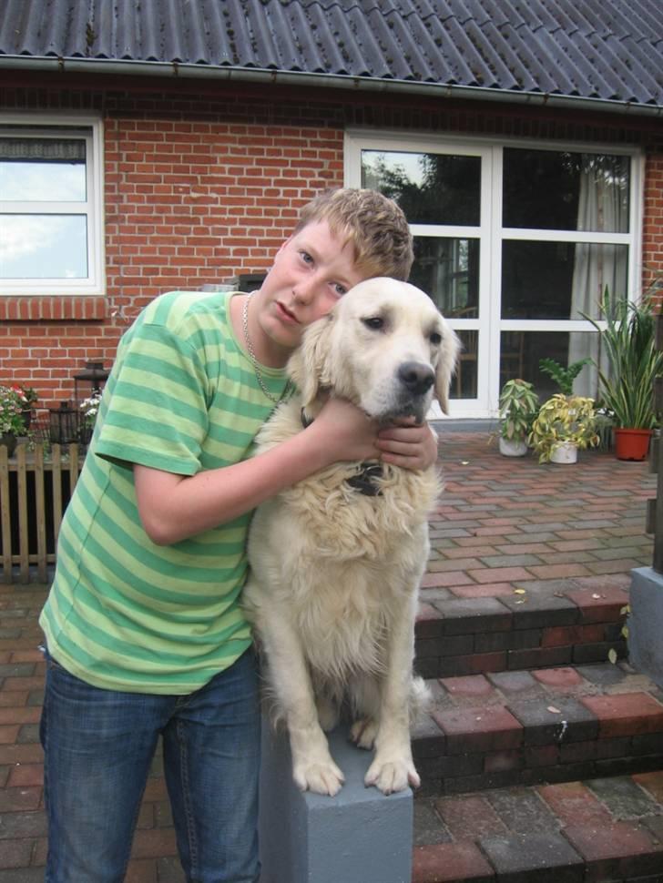 Golden retriever Marco`s samson - min bror &min hund søde sammen ikke? billede 3