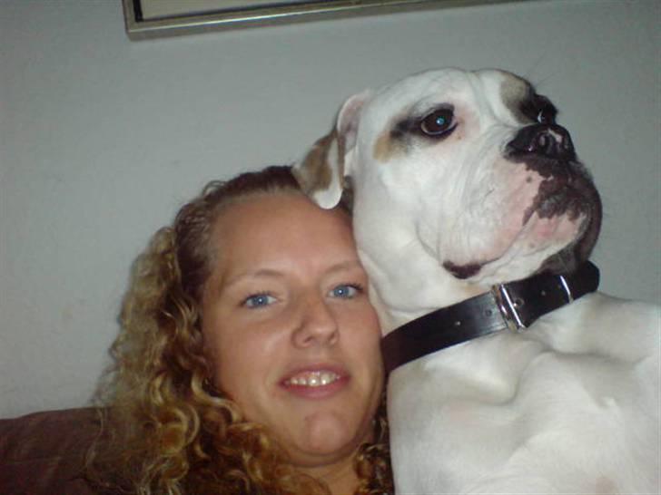 Amerikansk bulldog liva - skubbe, skubbe.... så er der altid plads hehe billede 7