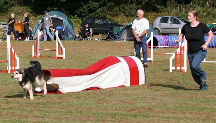 Blanding af racer Lucky - Borrevejle 2005 billede 6