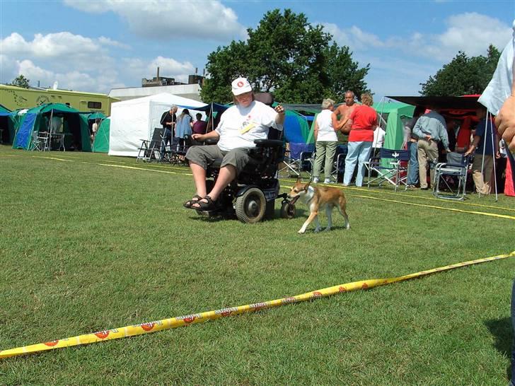 Norsk lundehund Løvheims Forseti / Fossi 4.3.05 - 13.1.14 - Brøndby 2006 billede 9