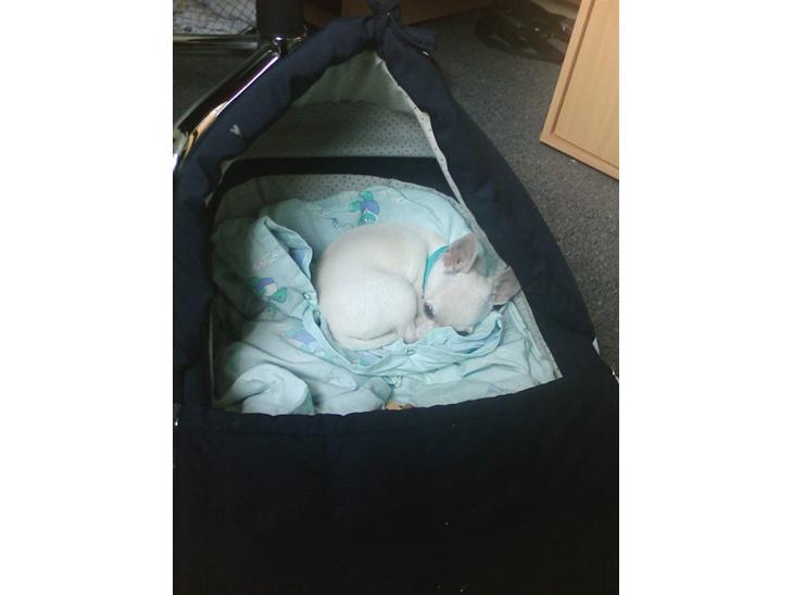 {{currentPhoto.altText}} billede {{currentPhoto.number}}