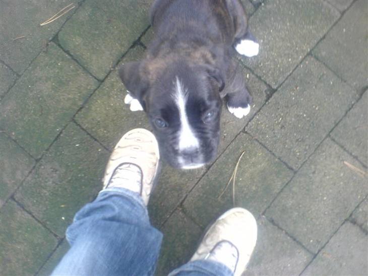 {{currentPhoto.altText}} billede {{currentPhoto.number}}