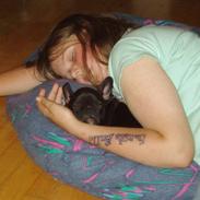 Fransk bulldog Tøsen