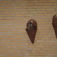 Labrador retriever basse