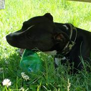 Blanding af racer candy