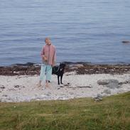 Labrador retriever Frido<3