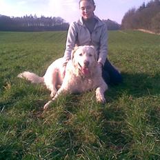 Kuvasz Viktor ( DØD ) savner ham