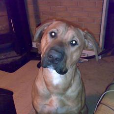 Blanding af racer Rico