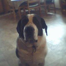 Blanding af racer tulle