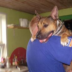 Blanding af racer ally (hos min veninde) *R.I.P*