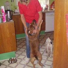 Blanding af racer ally (hos min veninde) *R.I.P*