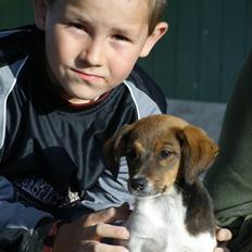 Blanding af racer Lotus