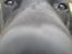 Labrador retriever Fido (formel 1) - snus snus snus ? er det chokolade hmm smage !
