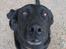 Labrador retriever Fido (formel 1) - heh denne vinkel ser jeg sikert nuttet ud! :D