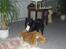 Mops Berta