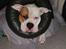 Blanding af racer Luba - "Its been a hard days night....."