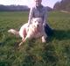 Kuvasz Viktor ( DØD ) savner ham