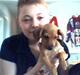 Gravhund blondi
