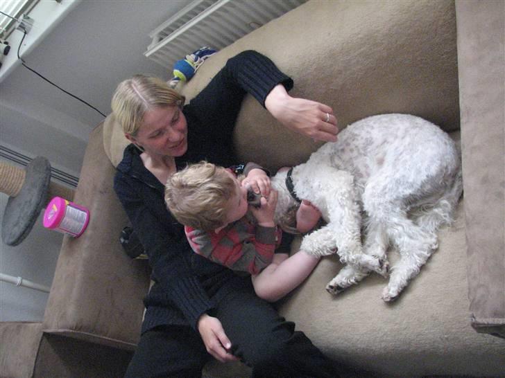 Blanding af racer Ricki - Oliver gir lige Ricki et lille kys billede 14