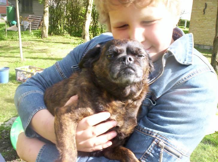 Blanding af racer Futte - Uhh ha.... Lillebror Andreas løfter Futte:D billede 7