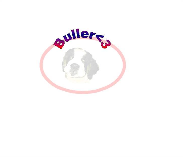 Sankt bernhardshund R.I.P Buller<3  - buller<3 billede 8