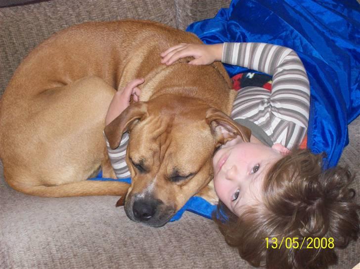 Blanding af racer Diva R.I.P Baby-D billede 7