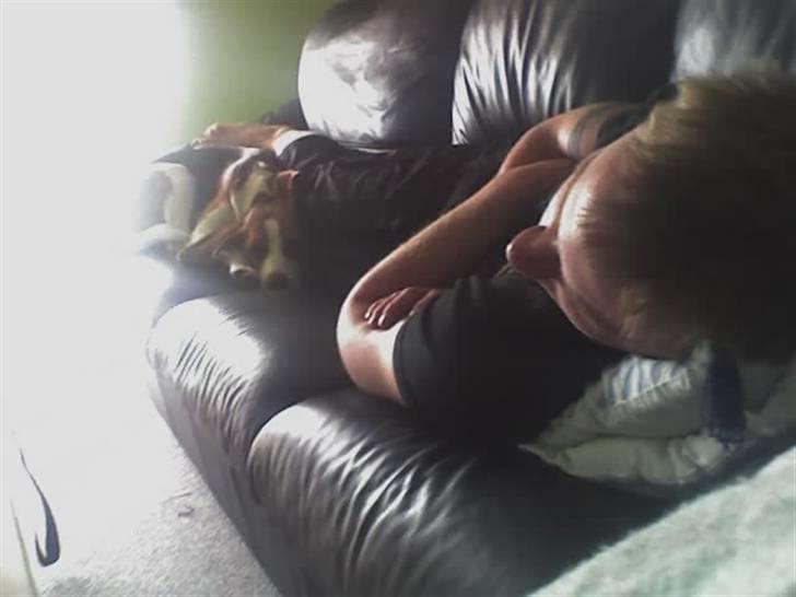 Beagle Tinka * Himmelhund * - Mig og min bedste ven :D billede 14