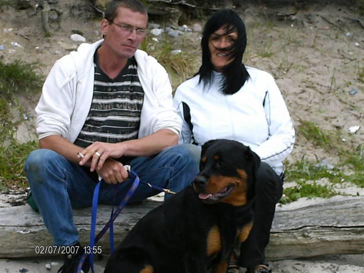 Rottweiler Laica *EFTERLYST* - nyder en stille stund med min "far og mor" på stranden billede 15