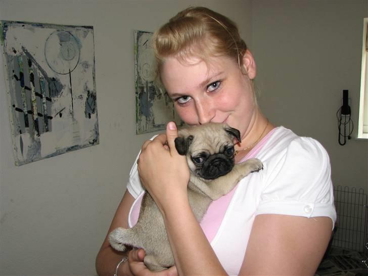 Mops Baloo - Mors lille møffedyr! billede 5