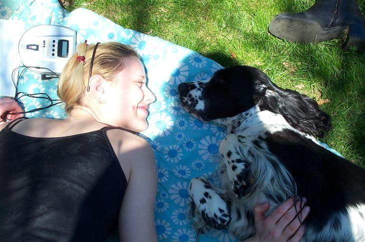 Engelsk springer spaniel Rowntree Indra at Zima - Indi og mig den dag vi fik hende. billede 13