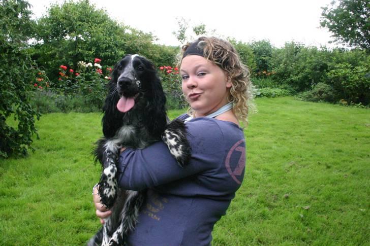 Cocker spaniel Mika - Rigtig godt billede af Mika og Brigitte :) billede 18