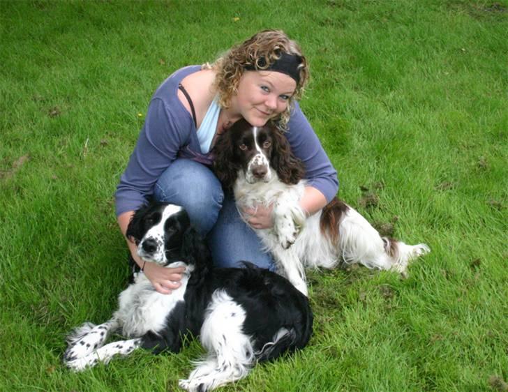 Engelsk springer spaniel Rowntree Indra at Zima - Brigitte og pigerne billede 18