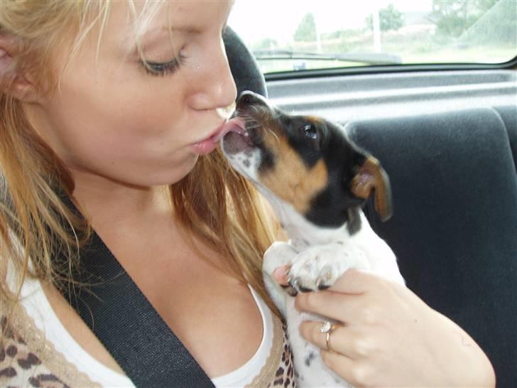 Dansk svensk gaardhund Emil - Mor skal lige ha en mysser :P!  billede 7