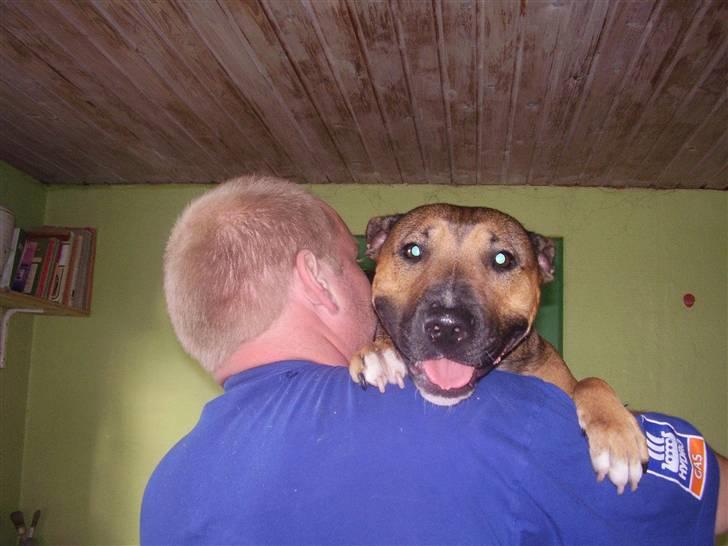 Blanding af racer ally (hos min veninde) *R.I.P* - lader til far er glad for mig  :-) billede 16