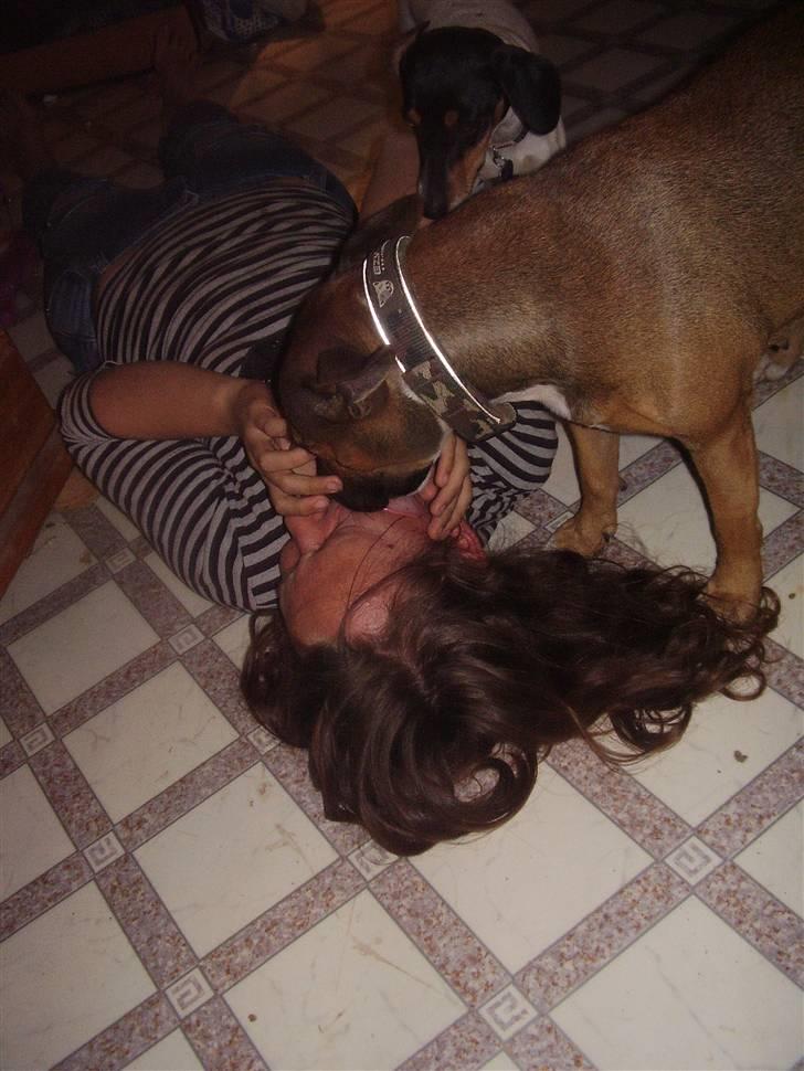 Blanding af racer ally (hos min veninde) *R.I.P* - bliver lige stor vasket billede 17