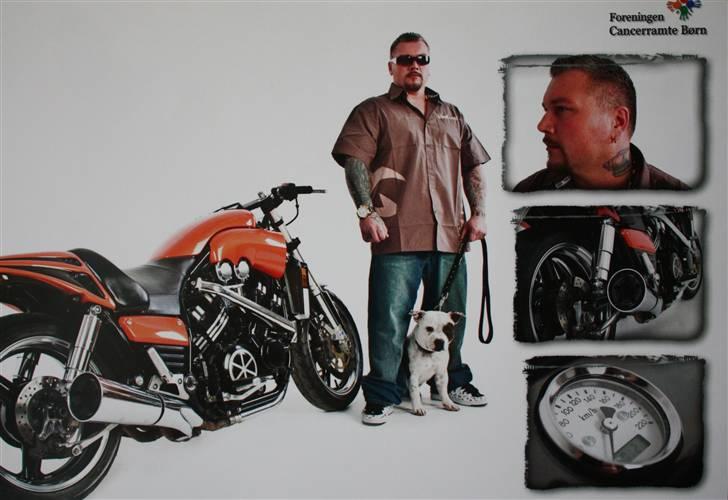 Staffordshire bull terrier Jeanty's Staff Viva La Bam - Johnny og Bam i kalender 2009  der støtter cancerbarn billede 12