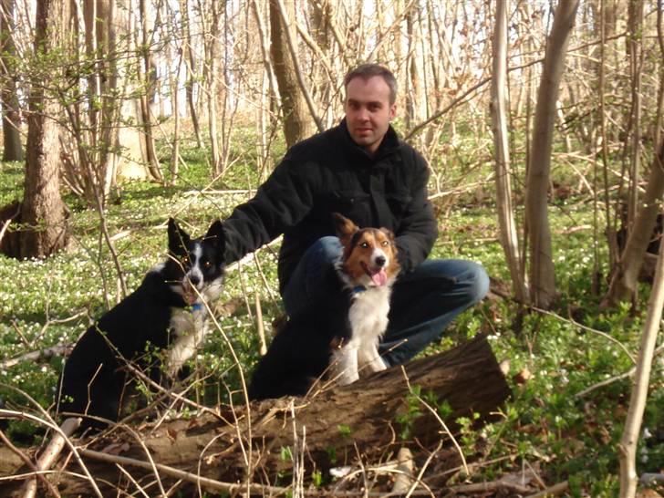 Border collie Crocodile Dundee "Dundee" - RIP - Ferieidyl billede 18