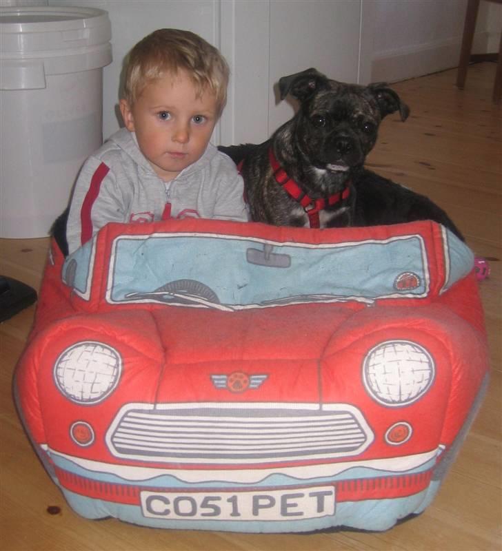 Blanding af racer Betty billede 12