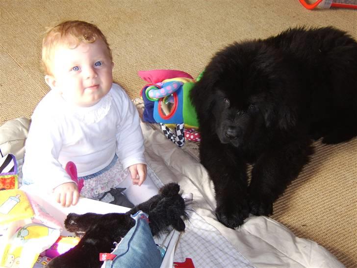 Newfoundlænder Maximus død juli 2008 fra - her er jeg sammen med Rosa, som er min bedste legekammerat billede 4
