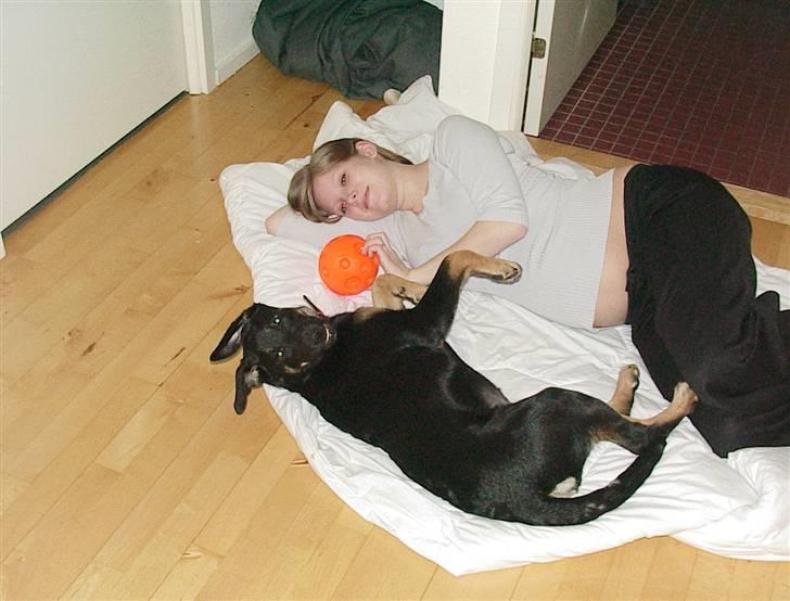 Blanding af racer Malou - Mor og Malou hygge billede 3